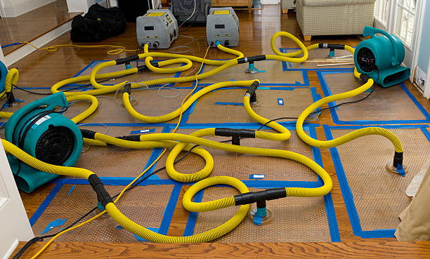 Professional Sewage Cleanup technician working in Colfax, NC